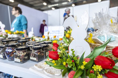 Targi Pracy NETWORKPOWER,